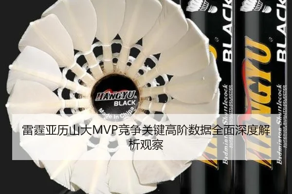 雷霆亚历山大MVP竞争关键高阶数据全面深度解析观察
