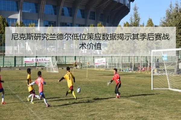尼克斯研究兰德尔低位策应数据揭示其季后赛战术价值